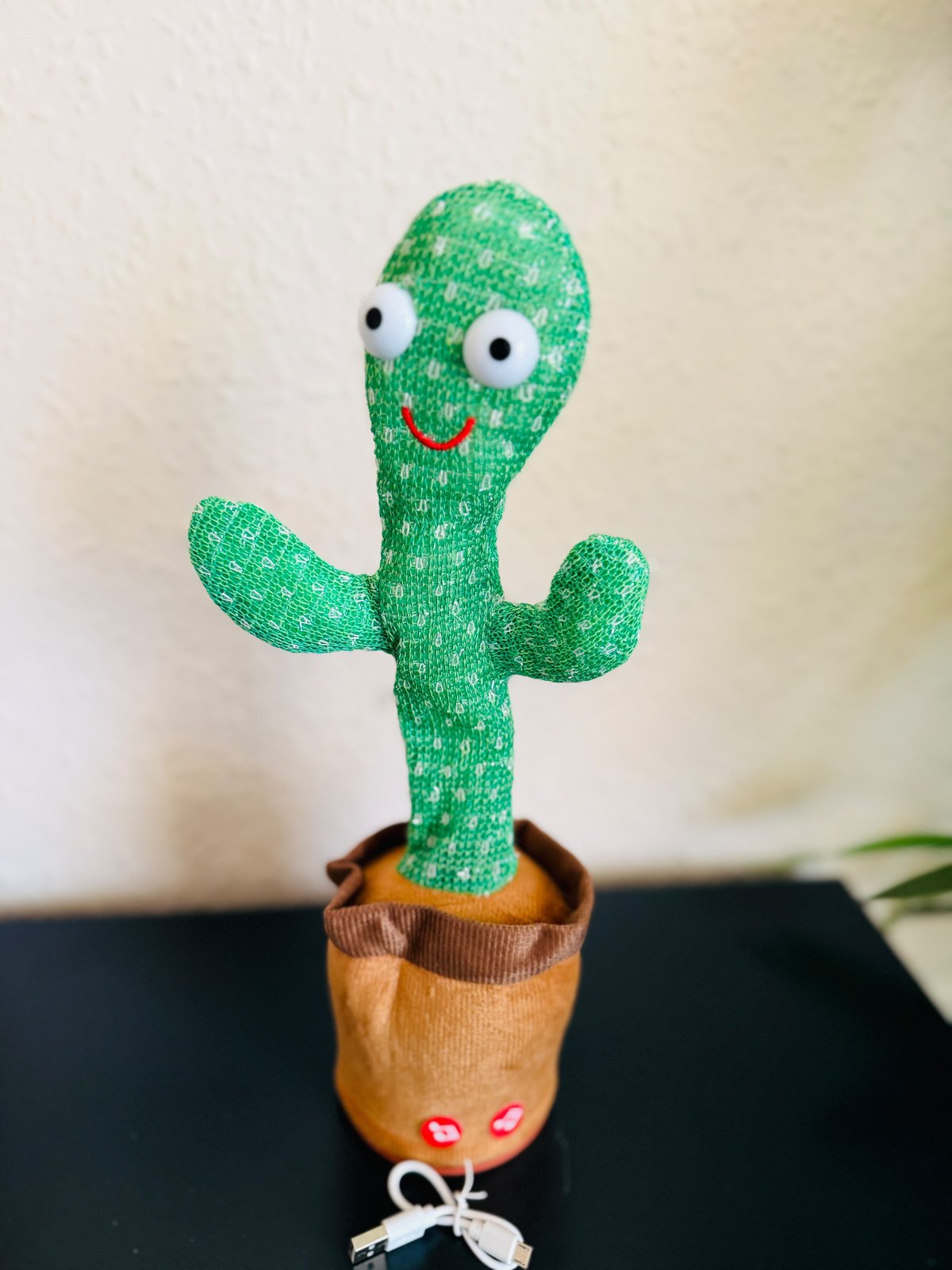 100x DANCING TALKING CACTUS  3 different designs, dancing and talking, rechargeable with usb cable and box, English songs — photo 4