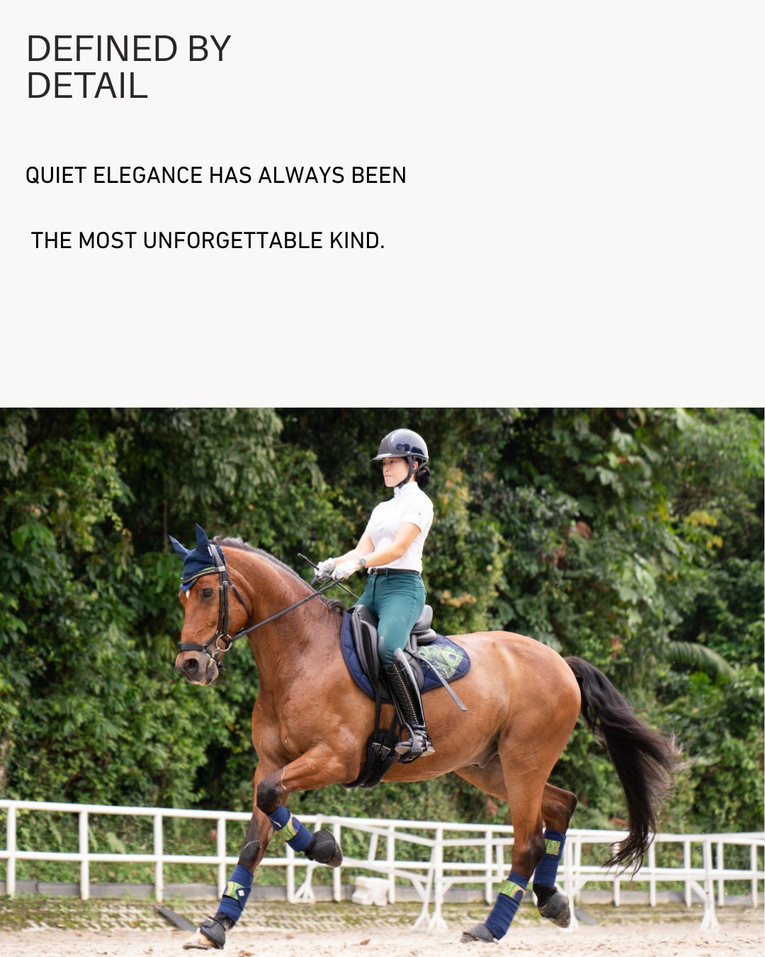 Brand New Equestrian Wear — photo 8