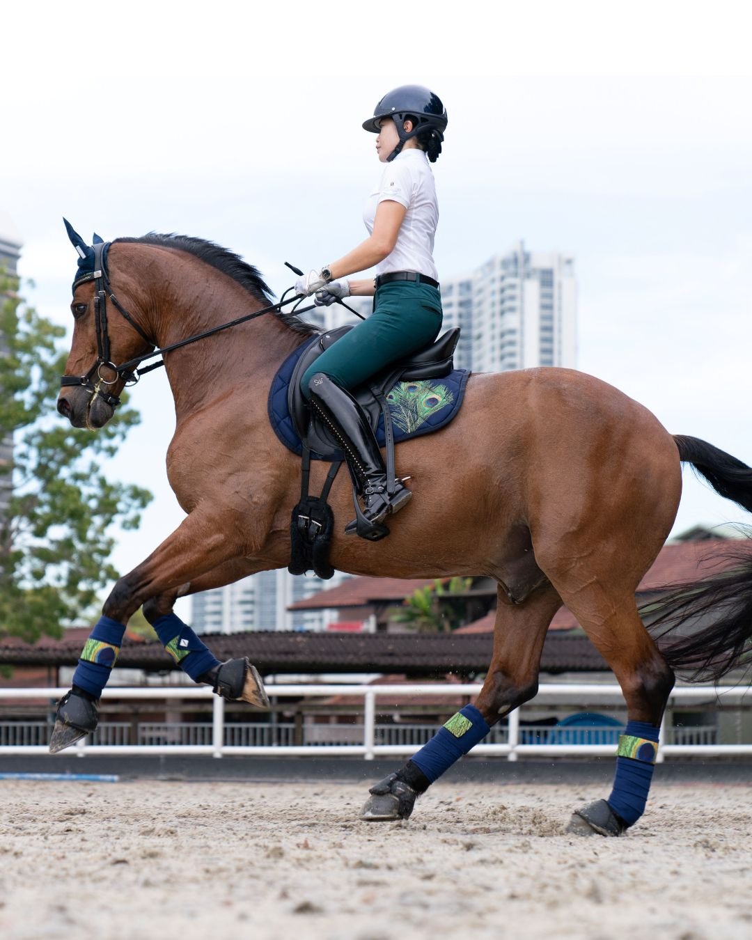 Brand New Equestrian Wear — photo 4