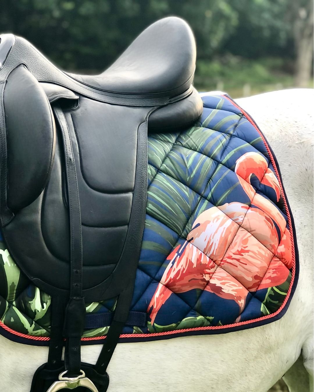 Source photograph for Brand New Equestrian Wear
