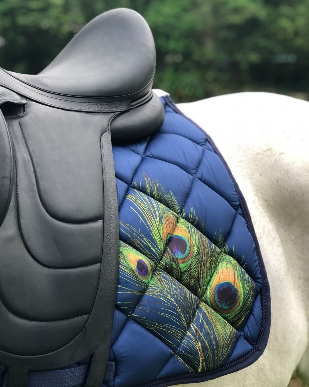 Brand New Equestrian Wear — photo 2