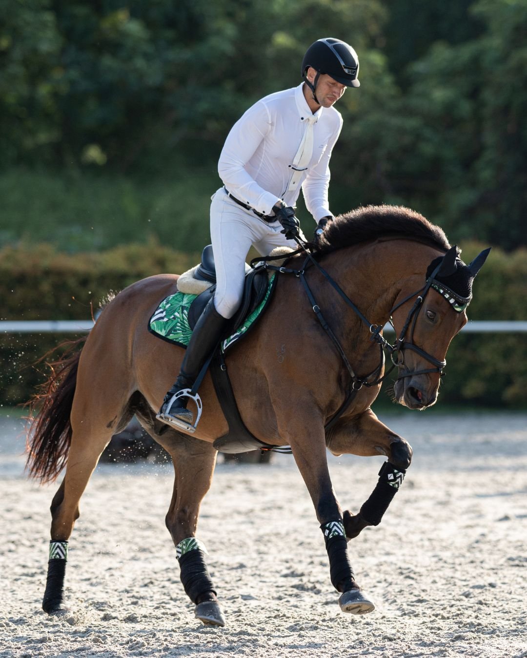 Brand New Equestrian Wear — photo 5